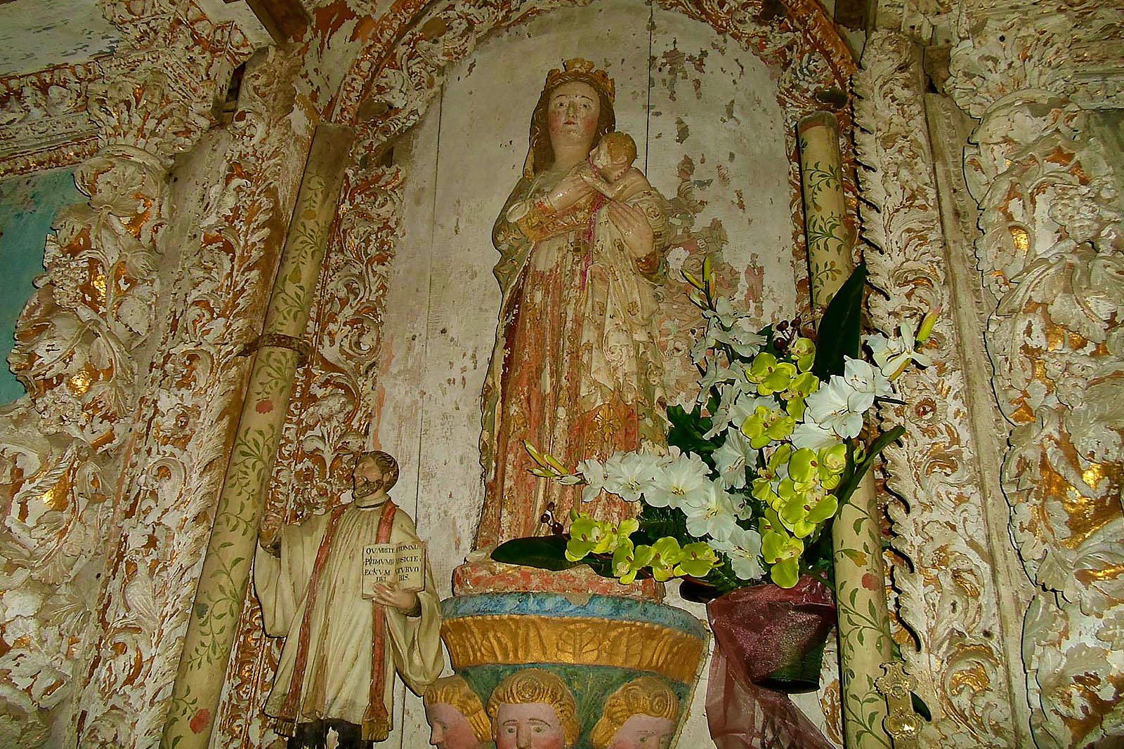 Notícias São Cristóvão de Nogueira